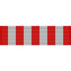 Ohio National Guard Distinguished Service Medal Ribbon